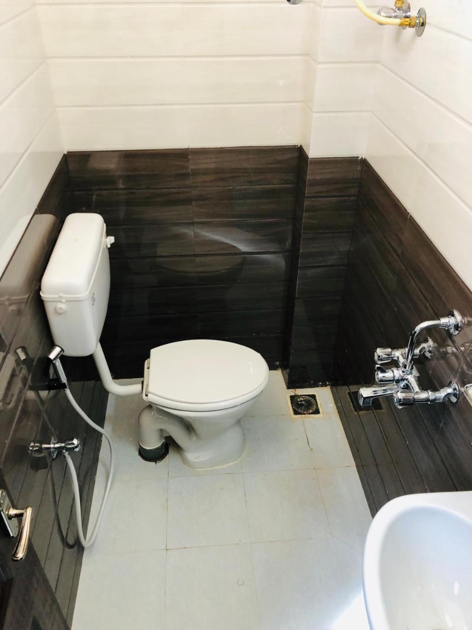 Cosmo Lodge 门格洛尔 外观 照片